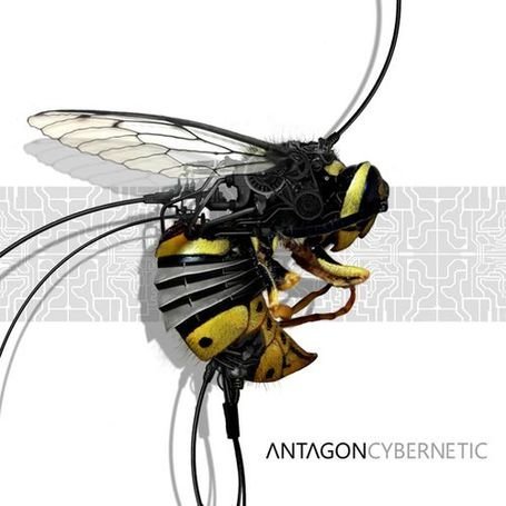 Cover for Antagon · Cybernetic (CD) (2010)