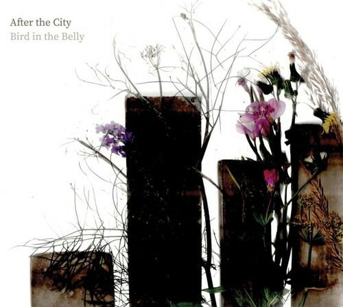 Cover for Bird In The Belly · After The City (CD) (2022)