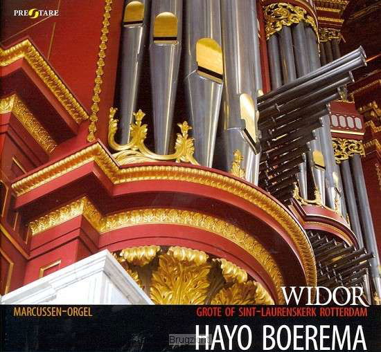 Organ Symphonies No.5 & 9 - C.M. Widor - Muzyka - ZWOFERINK - 8716114315610 - 8 kwietnia 2009