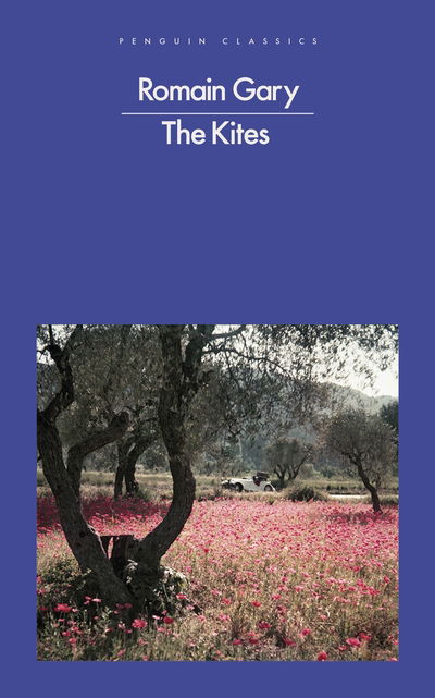 Cover for Romain Gary · The Kites (Paperback Book) (2018)