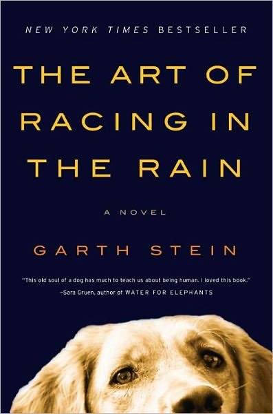 Cover for Garth Stein · The Art of Racing in the Rain (Hardcover bog) [Turtleback School &amp; Library Binding, 1 edition] (2018)