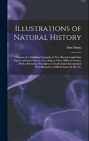 Cover for Dru Drury · Illustrations of Natural History : Wherein Are Exhibited Upwards of Two Hundred and Forty Figures of Exotic Insects, According to Their Different Genera ... with a Particular Description of Each Insect (Bok) (2022)