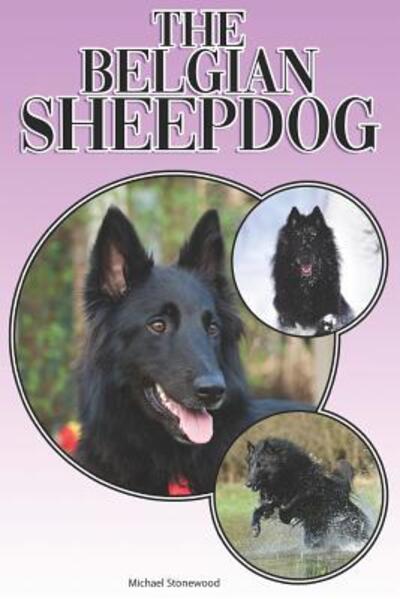 Cover for Michael Stonewood · The Belgian Sheepdog (Paperback Book) (2019)