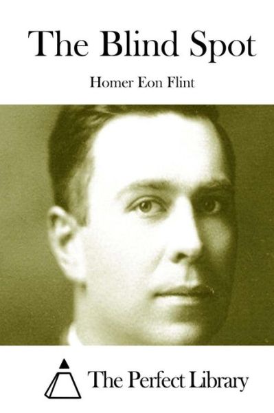 Cover for Homer Eon Flint · The Blind Spot (Paperback Book) (2015)