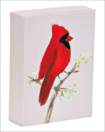 Red Cardinal Playing Cards - Playing Cards - Allyn Howard - Książki - teNeues Calendars & Stationery GmbH & Co - 9781623258610 - 15 maja 2020