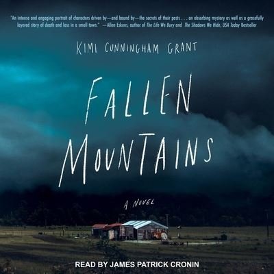 Cover for Kimi Cunningham Grant · Fallen Mountains (CD) (2019)