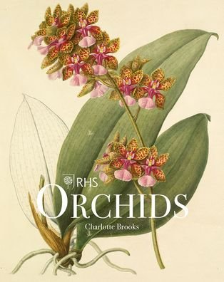 Cover for Charlotte Brooks · RHS Orchids (Hardcover Book) (2022)