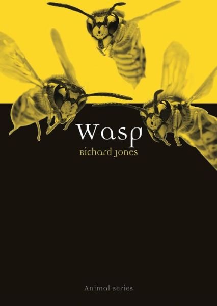 Cover for Richard Jones · Wasp - Animal (Paperback Book) (2019)