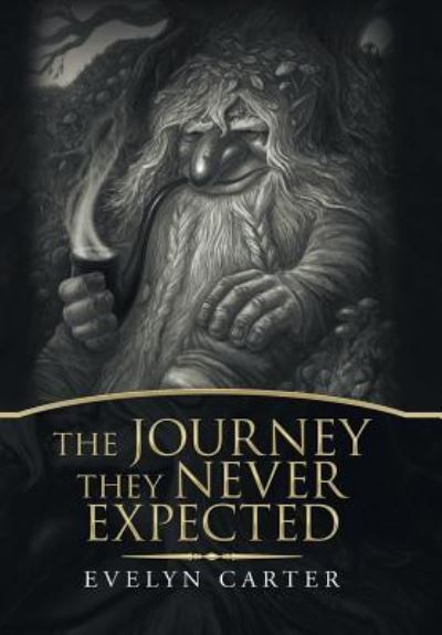 Cover for Evelyn Carter · The Journey They Never Expected (Hardcover Book) (2019)