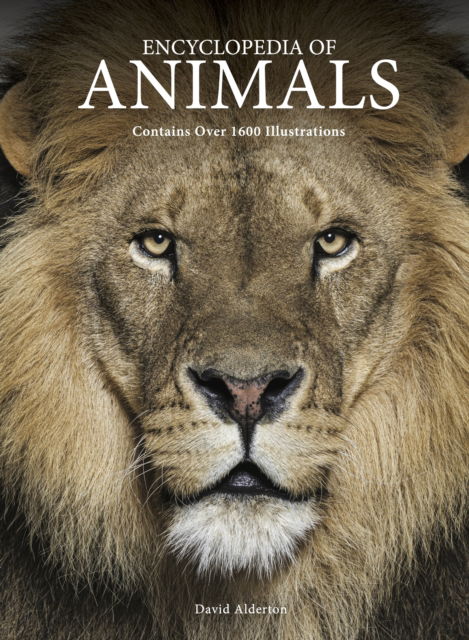 Encyclopedia of Animals - Encyclopedia Handbook - David Alderton - Books - Amber Books Ltd - 9781838865610 - June 14, 2025