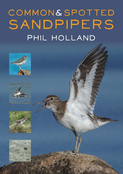 Common and Spotted Sandpipers - Phil Holland - Książki - Whittles Publishing - 9781849953610 - 31 sierpnia 2018