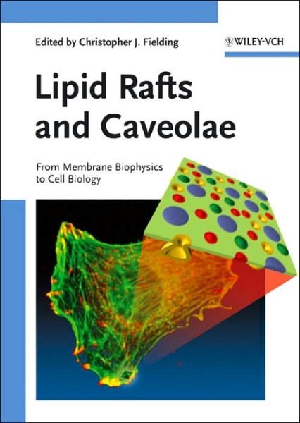 Cover for CJ Fielding · Lipid Rafts and Caveolae: From Membrane Biophysics to Cell Biology (Hardcover Book) (2006)