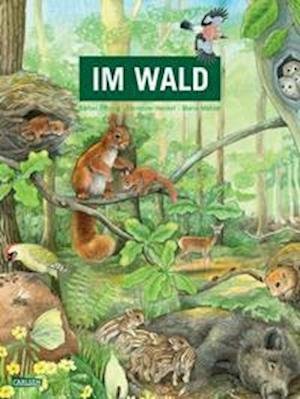 Cover for Bärbel Oftring · Im Wald (Board book) (2022)