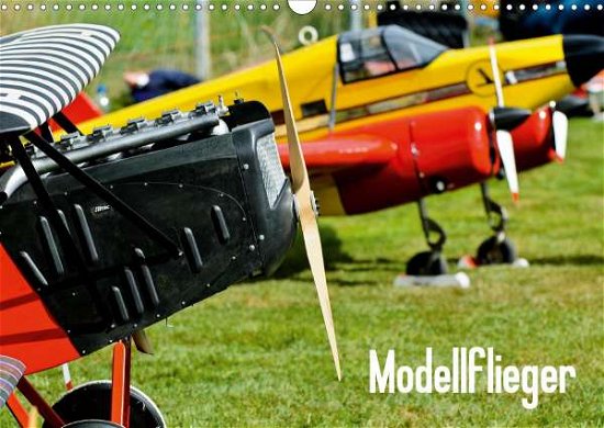 Cover for Selig · Modellflieger (Wandkalender 2021 (Bog)