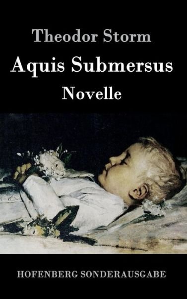 Cover for Storm · Aquis Submersus (Bog) (2016)