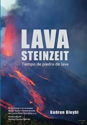 Cover for Gudrun Bleyhl · Lavasteinzeit (Paperback Book) (2022)