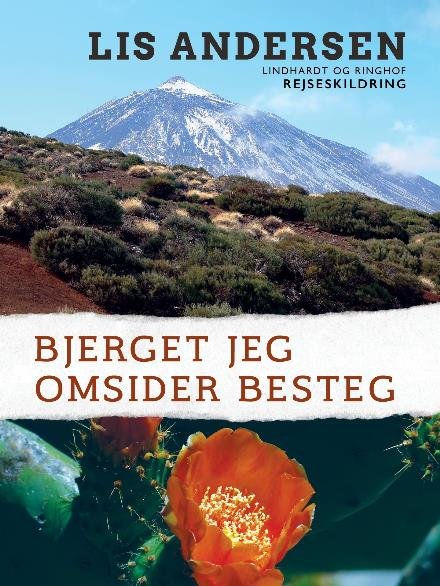 Cover for Lis Andersen · Bjerget jeg omsider besteg (Sewn Spine Book) [1e uitgave] (2017)