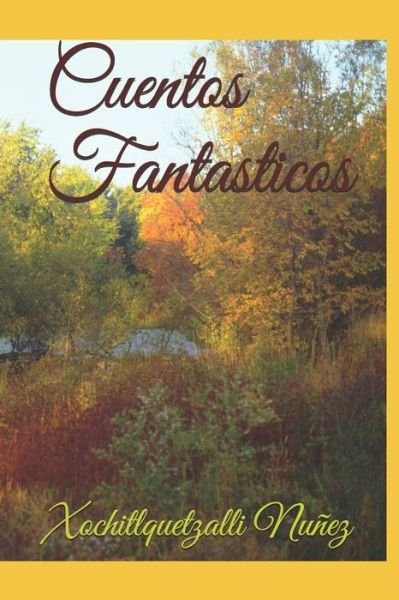 Cover for Xochitlquetzalli Nuñez · Cuentos Fantasticos (Pocketbok) (2020)