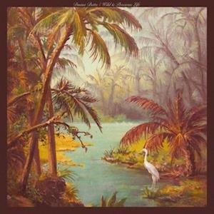 Cover for Duane Betts · Wild &amp; Precious Life (LP) (2023)