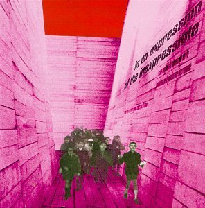 Cover for Blonde Redhead · In An Expression Of The Inexpressible (LP) (1998)
