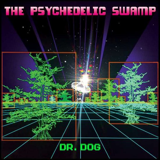 The Psychedelic Swamp - Dr. Dog - Musik - ALTERNATIVE - 0045778740611 - 5 februari 2016