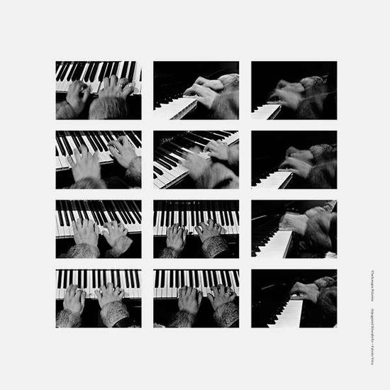 Cover for Charlemagne Palestine · Arpeggiated Bosendorfer + Falsetto Voice (LP) (2017)