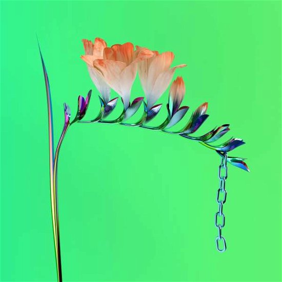 Cover for Flume · Skin Companion EP I (Ide) (LP) (2016)