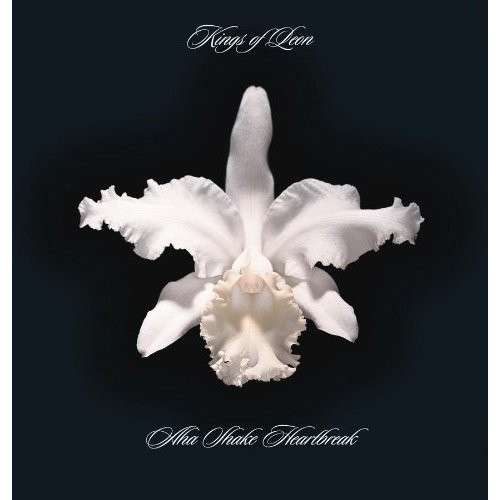 Cover for Kings of Leon · Aha Shake Heart (LP) [Reissue edition] (2013)