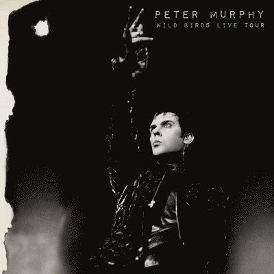 Cover for Peter Murphy · Wild Birds Live Tour (Purple/ Black Vinyl) (LP) (2022)