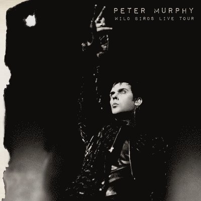 Wild Birds Live Tour (Purple/ Black Vinyl) - Peter Murphy - Music - CLEOPATRA RECORDS - 0889466267611 - June 10, 2022