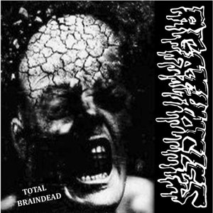 Cover for Disorder / Agathocles · Disorder / Agathocles Split (10&quot;) (2015)