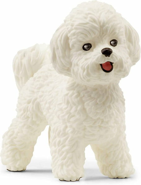 Cover for Schleich · Schleich Farm World Bichon Frise 13963 (Toys)