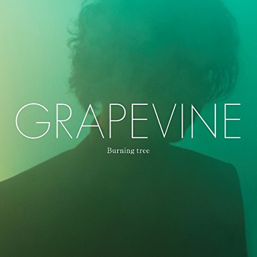 Burning Tree - Grapevine - Musiikki - VICTOR ENTERTAINMENT INC. - 4988002683611 - keskiviikko 28. tammikuuta 2015