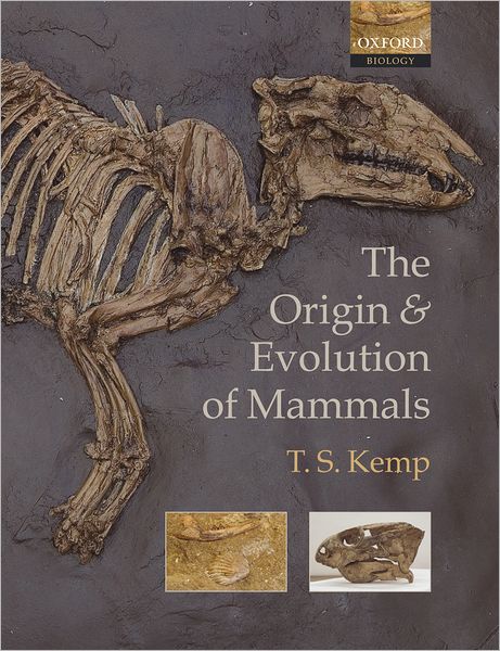 Cover for Kemp, T. S. (, Oxford University Museum of Natural History) · The Origin and Evolution of Mammals (Pocketbok) (2004)