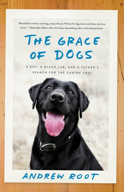 Cover for Andrew Root · The Grace of Dogs: A Boy, a Black Lab, and a Father's Search for the Canine Soul (Paperback Book) (2018)