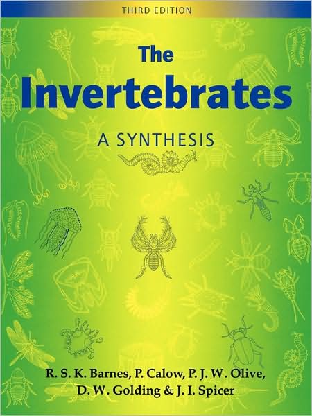 The Invertebrates: A Synthesis - Barnes, R. S. K. (Department of Zoology, University of Cambridge, UK) - Bücher - John Wiley and Sons Ltd - 9780632047611 - 17. August 2001