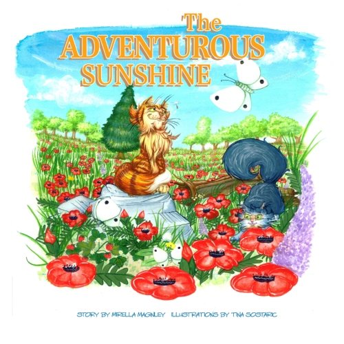 Cover for Mirella Maginley · The Adventurous Sunshine (Paperback Book) (2014)