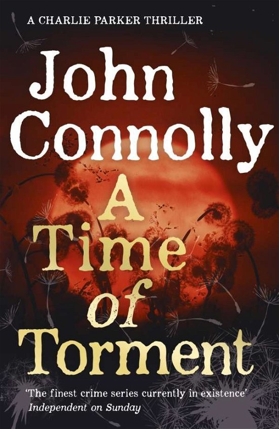 Cover for John Connolly · A Time of Torment: A Charlie Parker Thriller - Charlie Parker Thriller (Paperback Bog) (2017)