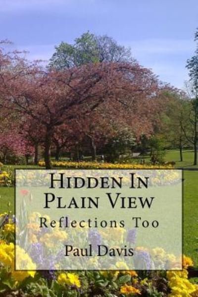 Cover for Paul Davis · Hidden in Plain View: Volume 2 (Taschenbuch) (2016)