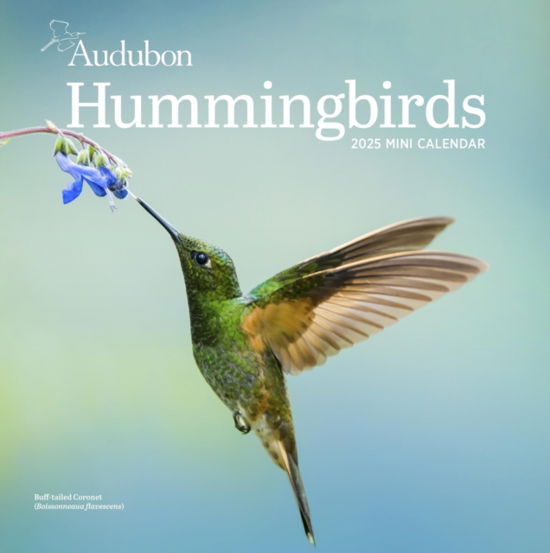 Audubon Hummingbirds Mini Wall Calendar 2025 - National Audubon Society - Gadżety - Workman Publishing - 9781523526611 - 8 sierpnia 2024