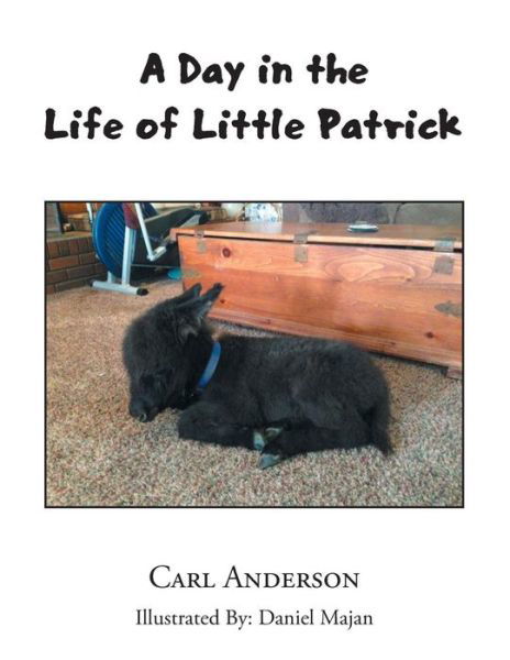 Cover for Carl Anderson · A Day in the Life of Little Patrick (Taschenbuch) (2017)
