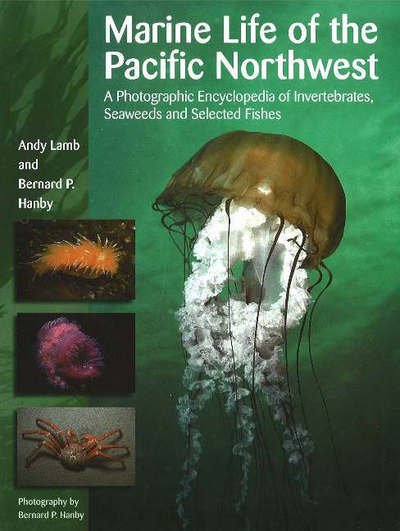 Cover for Andy Lamb · Marine Life of the Pacific Northwest: A Photographic Encyclopedia of Invertebrates, Seaweeds and Selected Fishes (Hardcover Book) (2005)