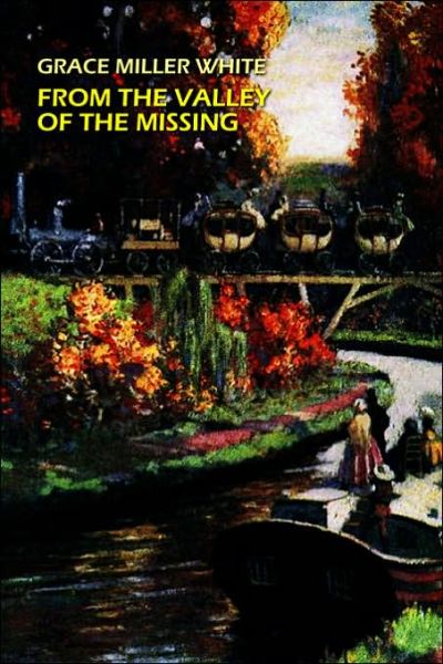 Cover for Grace Miller White · From the Valley of the Missing (Paperback Book) (2006)