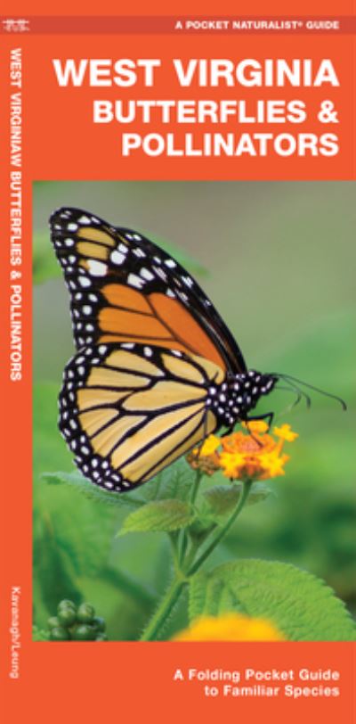 Cover for James Kavanagh · West Virginia Butterflies &amp; Pollinators (Paperback Book) (2020)