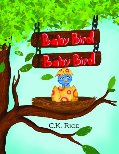 Baby Bird, Baby Bird - C K Rice - Books - Austin Macauley Publishers LLC - 9781647503611 - November 30, 2020