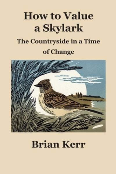 Cover for Brian Kerr · How to Value a Skylark (Paperback Book) (2021)