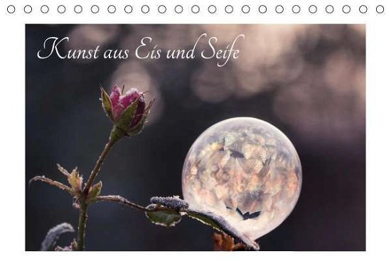 Cover for Fleischer · Kunst aus Eis und Seife (Tisc (Book)