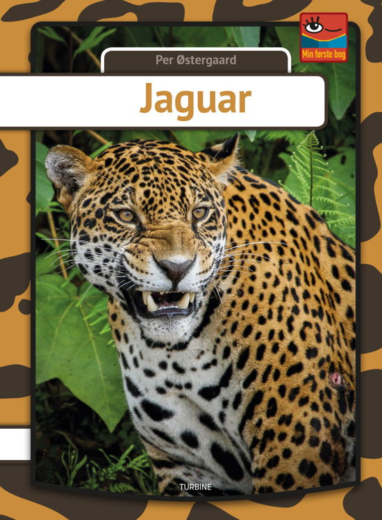 Per Østergaard · Min første bog: Jaguar (Hardcover bog) [1. udgave] (2018)