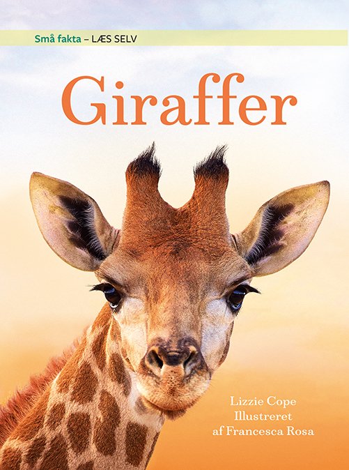 Cover for Lizzie Cope · Små Fakta: Små fakta: Giraffer (Bound Book) [1er édition] (2023)