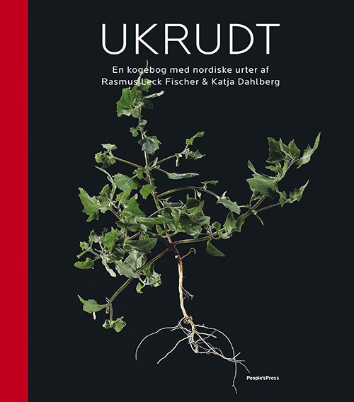 Ukrudt - Rasmus Leck Fischer og Katja Dahlberg - Bøker - People'sPress - 9788771087611 - 8. juni 2012